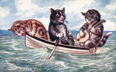 Humorous cat postcard