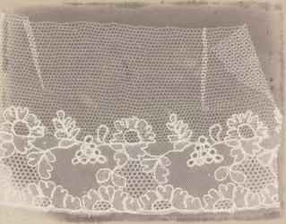 Lace