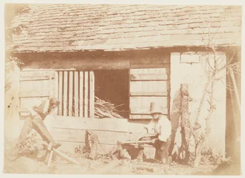 The Woodcutters
