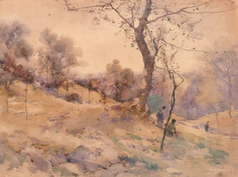 Landscape