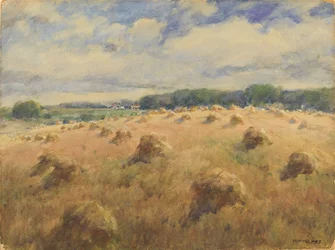 Maryland Wheat Fields