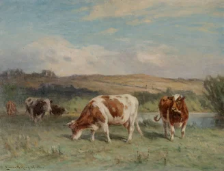 Lyme Pastures
