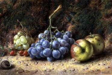 Still Life of Fruit