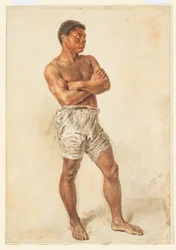 Study of a Young Model