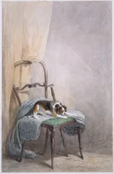 Study of a Dog on a Chair