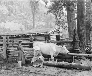 Mountain milk maids in Colorado, c. 1900