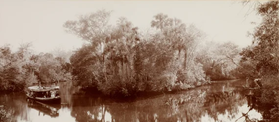 On the Tomoka near Ormond, Florida