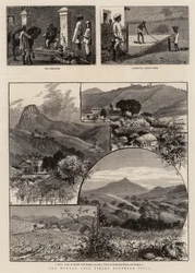 The Wynaad Gold Fields, Southern India