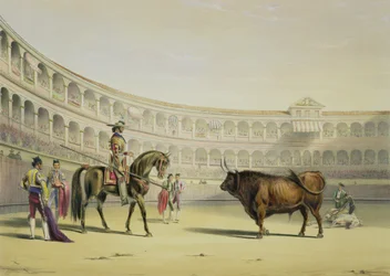 Picador Challenging the Bull