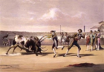 The Banderillas