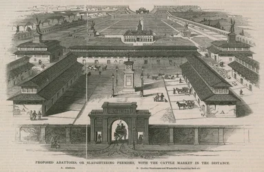 Proposed Abattoirs, or, Slaughtering Premises, with the Cattle Market in the Distance