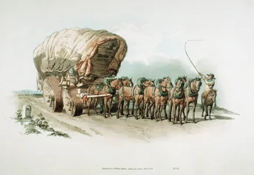 Stage Wagon