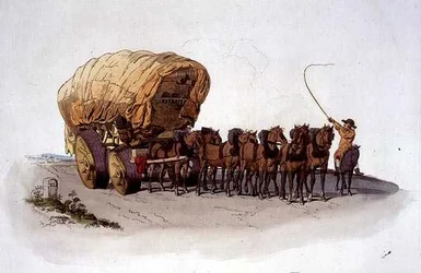 Wagon, from 