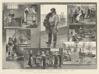 The French Sardine Industry