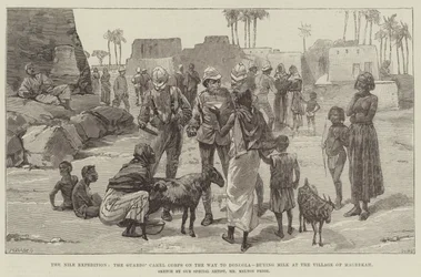 The Nile Expedition, the Guards