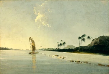 View of part of the Island of Ulietea [Raiatea]