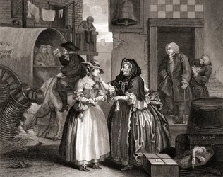 The Harlot
