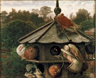 The Festival of St Swithin The Dovecot, 1865-1866