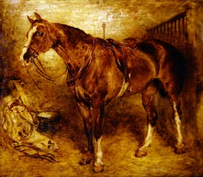 A Horse in the Stable