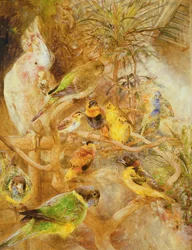 Bird Aviary
