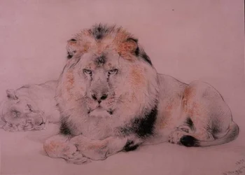 Lion and Lioness