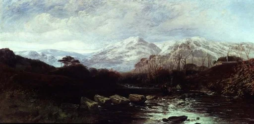 Extensive River Landscape