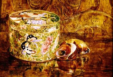 Study of China and Shells