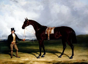 Bay Middleton, Winner of the Derby