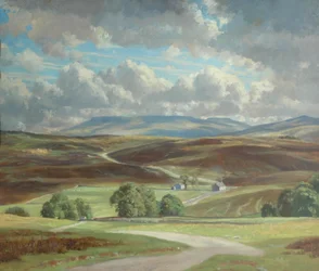 Newbiggin Moor and Wild Boar Fell