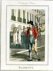 Rabbits, Portland Place, from 