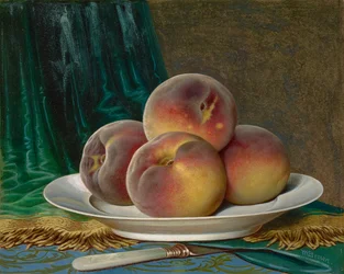 Peaches on a White Plate