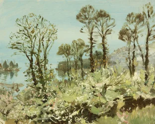 A Flowery Copse