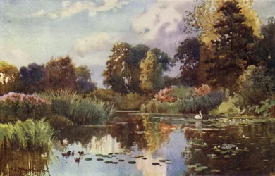 The Lake in Botanic Gardens