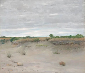 Wind-Swept Sands
