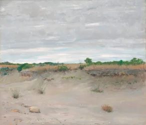 Windblown Sandy Beach