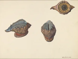 Shell Out Bank