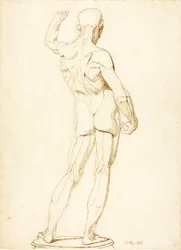 An Ecorche, Rear View