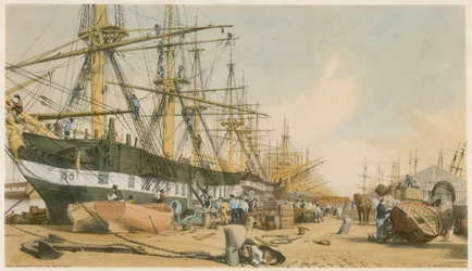 West India Docks, from the South East