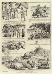 A Tale of a Famous Panther Hunt