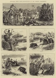 Sketches from India, Hog-Hunting in the Bombay Presidency