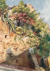 A Street Corner, Cagnes