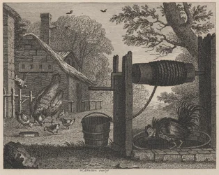 The Old Hen and the Cock