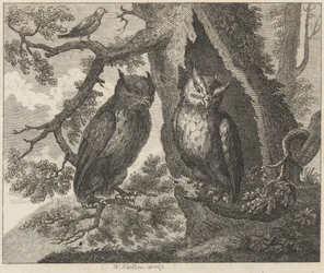 The Two Owls and the Sparrow