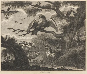 The Vulture, the Sparrow, and other Birds