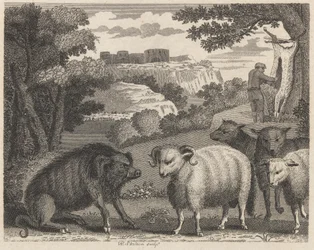 The Wild Boar and the Ram