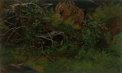 Study from Nature