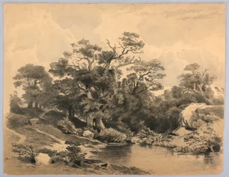 Study of Landscape