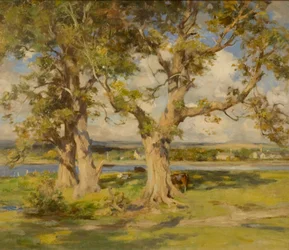 Three Trees by a River