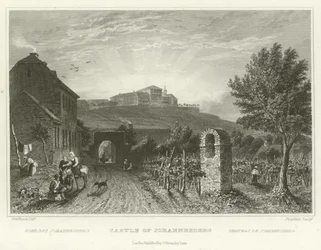 Castle of Johannesberg