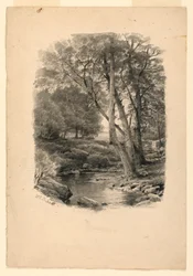 Pool in the Woods, 1874